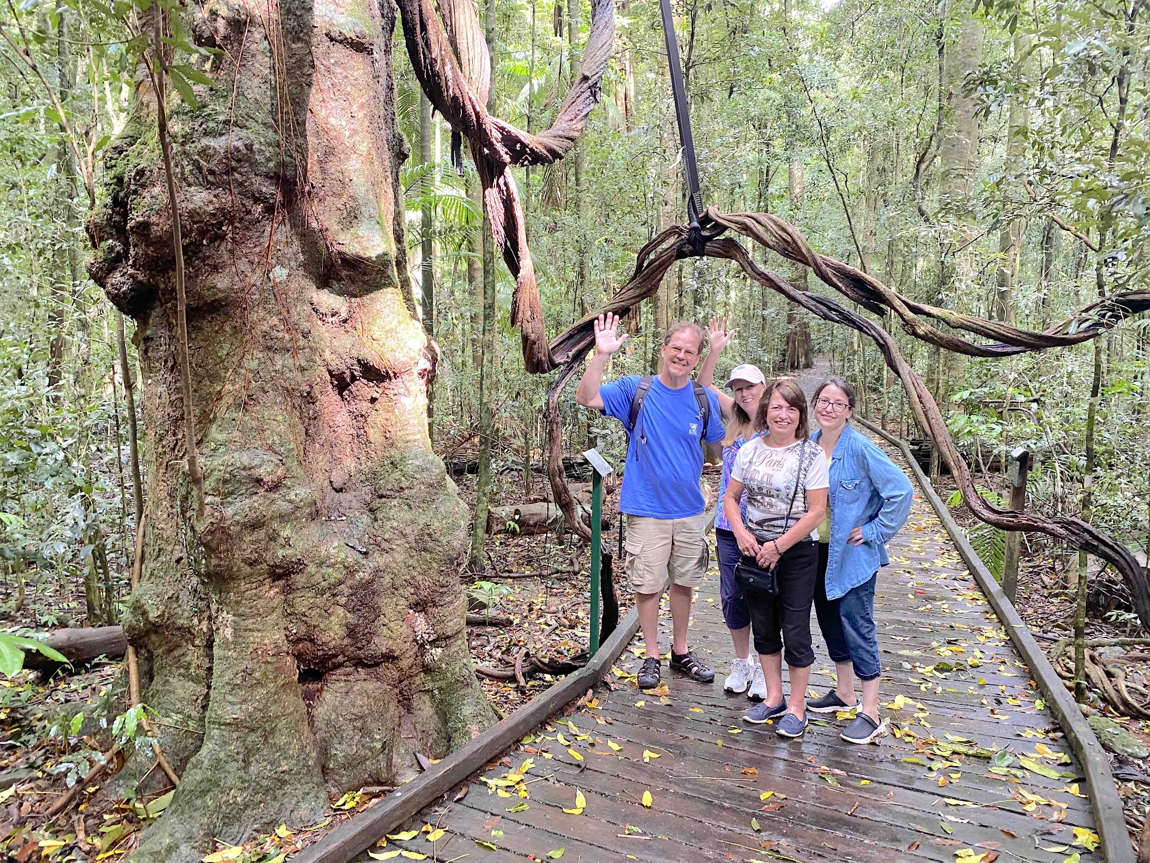 Maleny, Montville & Sunshine Coast Hinterland Private Tour