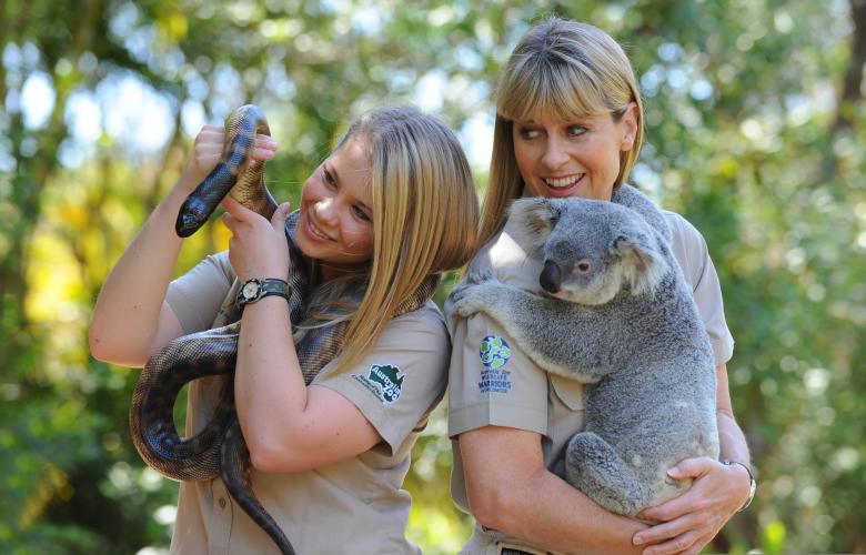 AUSTRALIA ZOO Private Transfer from Noosa and the Sunshine Coast