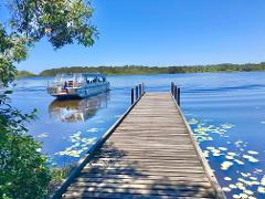 Noosa Everglades and Hinterland Private Tour