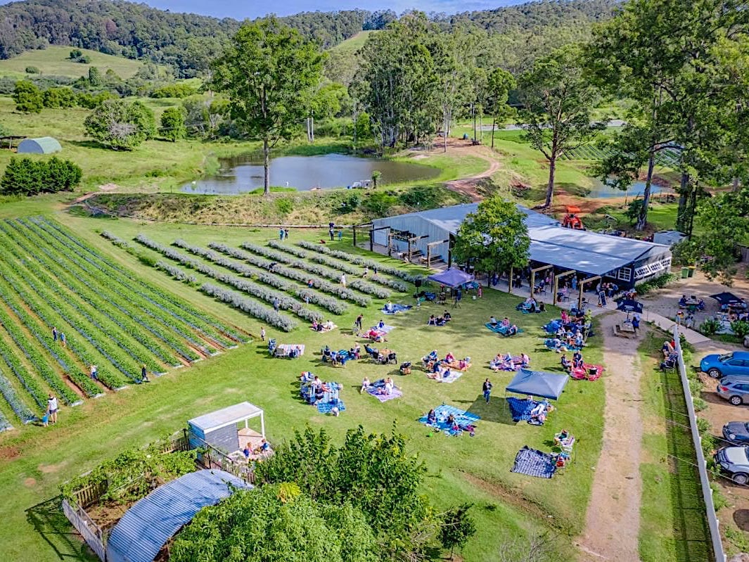 Rainbow Beach Private Tour