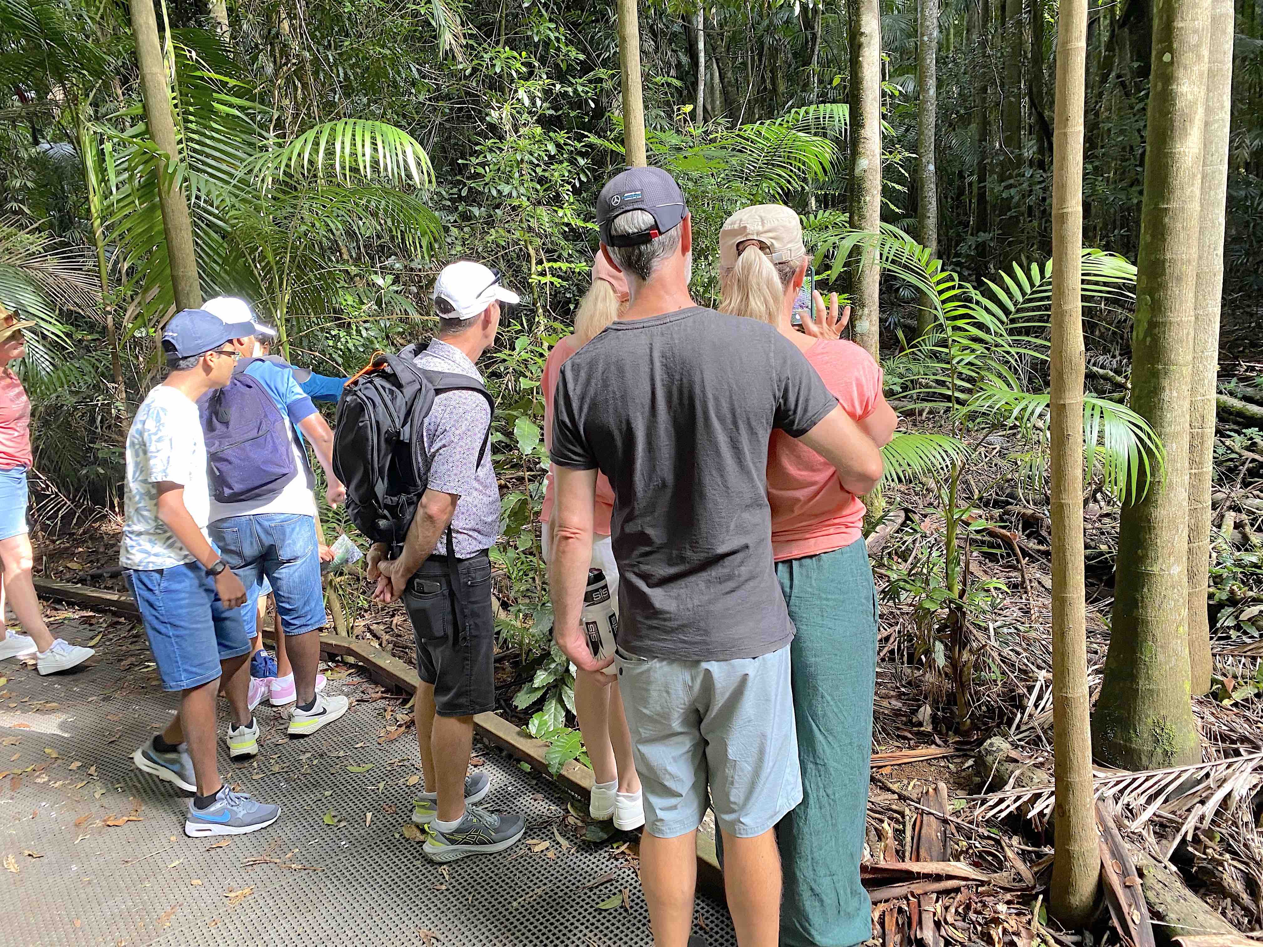 Maleny, Montville & Sunshine Coast Hinterland Private Tour