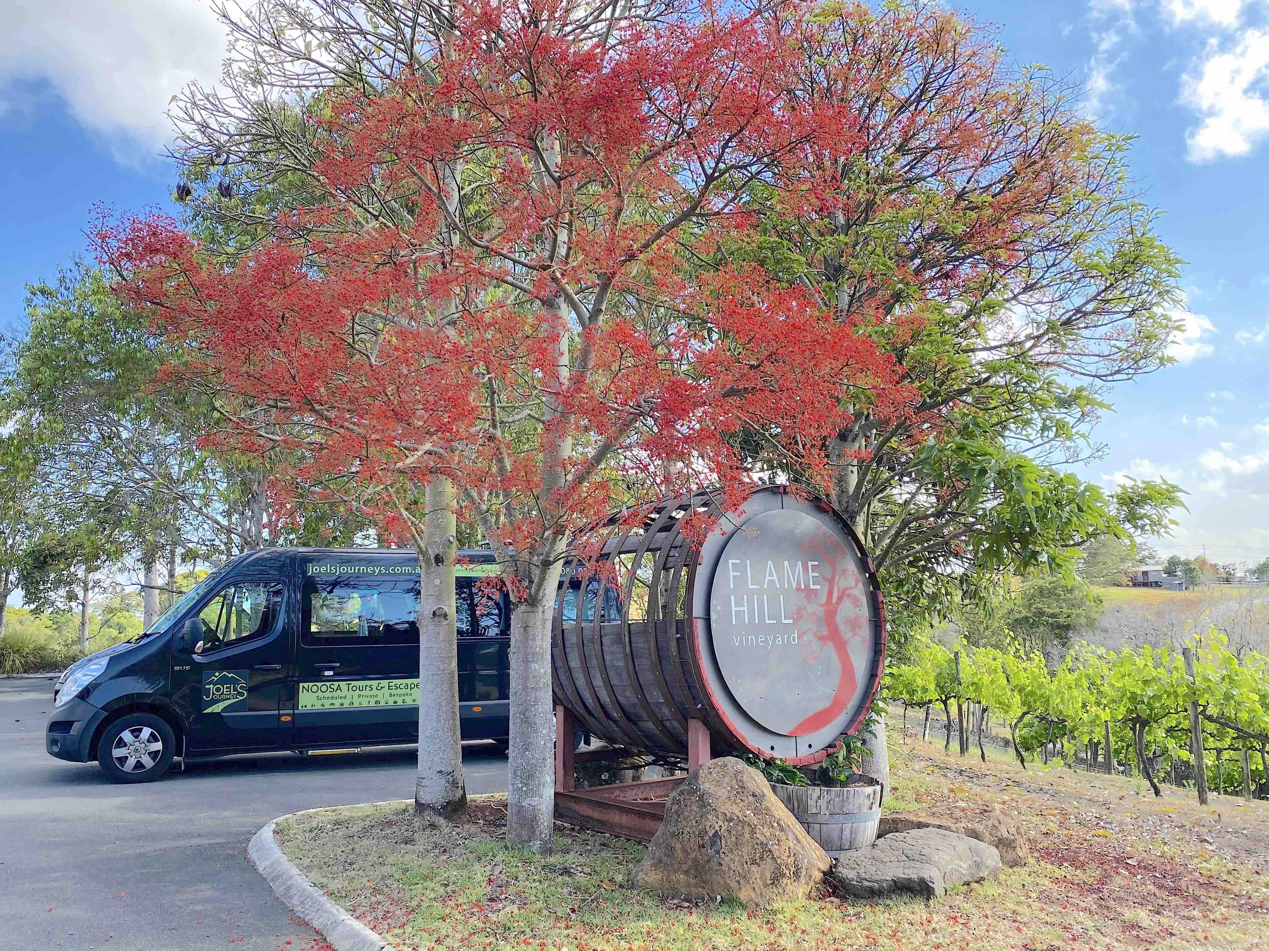 Maleny, Montville & Sunshine Coast Hinterland Private Tour