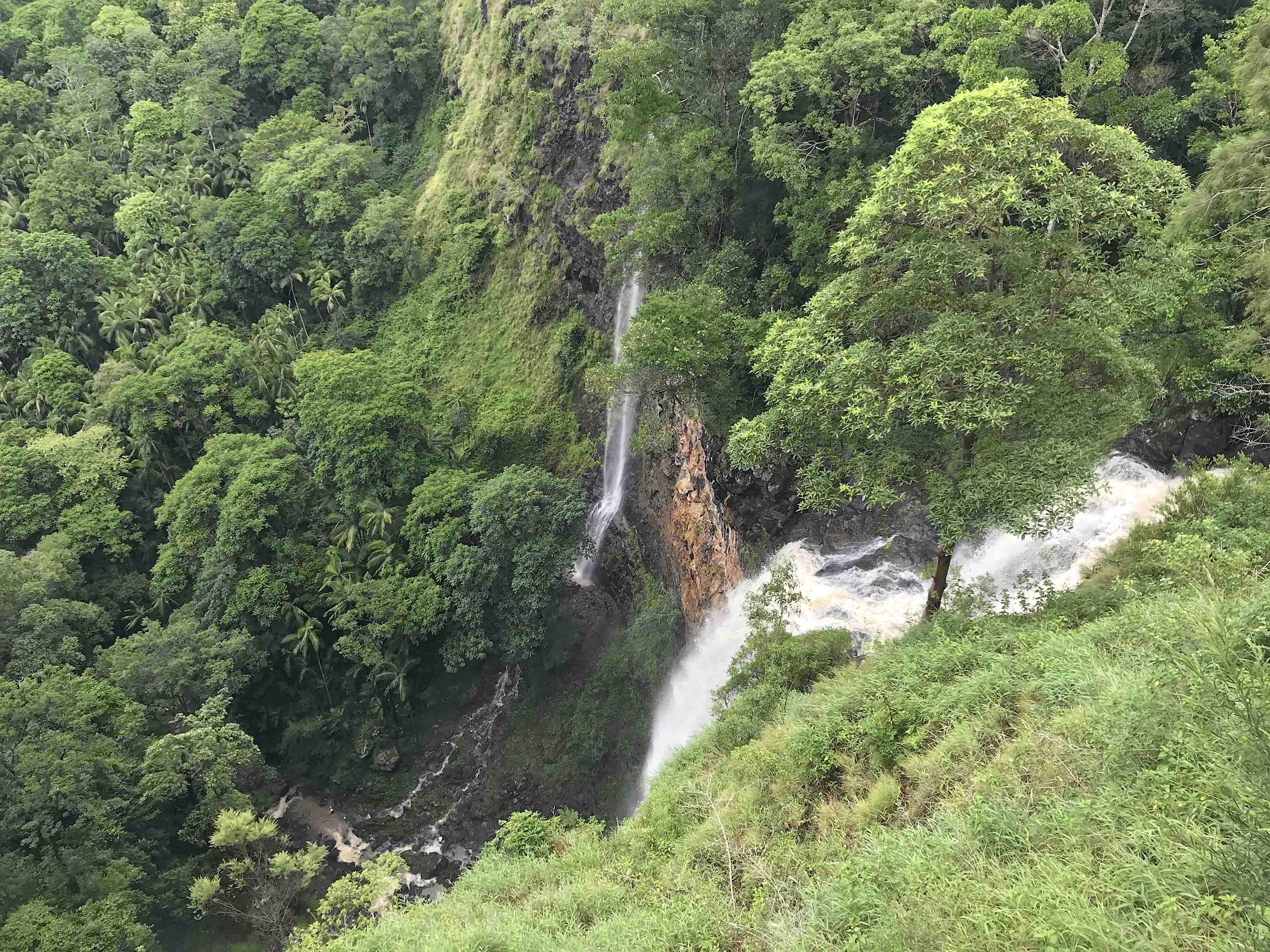 Maleny and Montville Tour from Noosa with Artisan Village and Wine Tasting - Luxury Private Tour