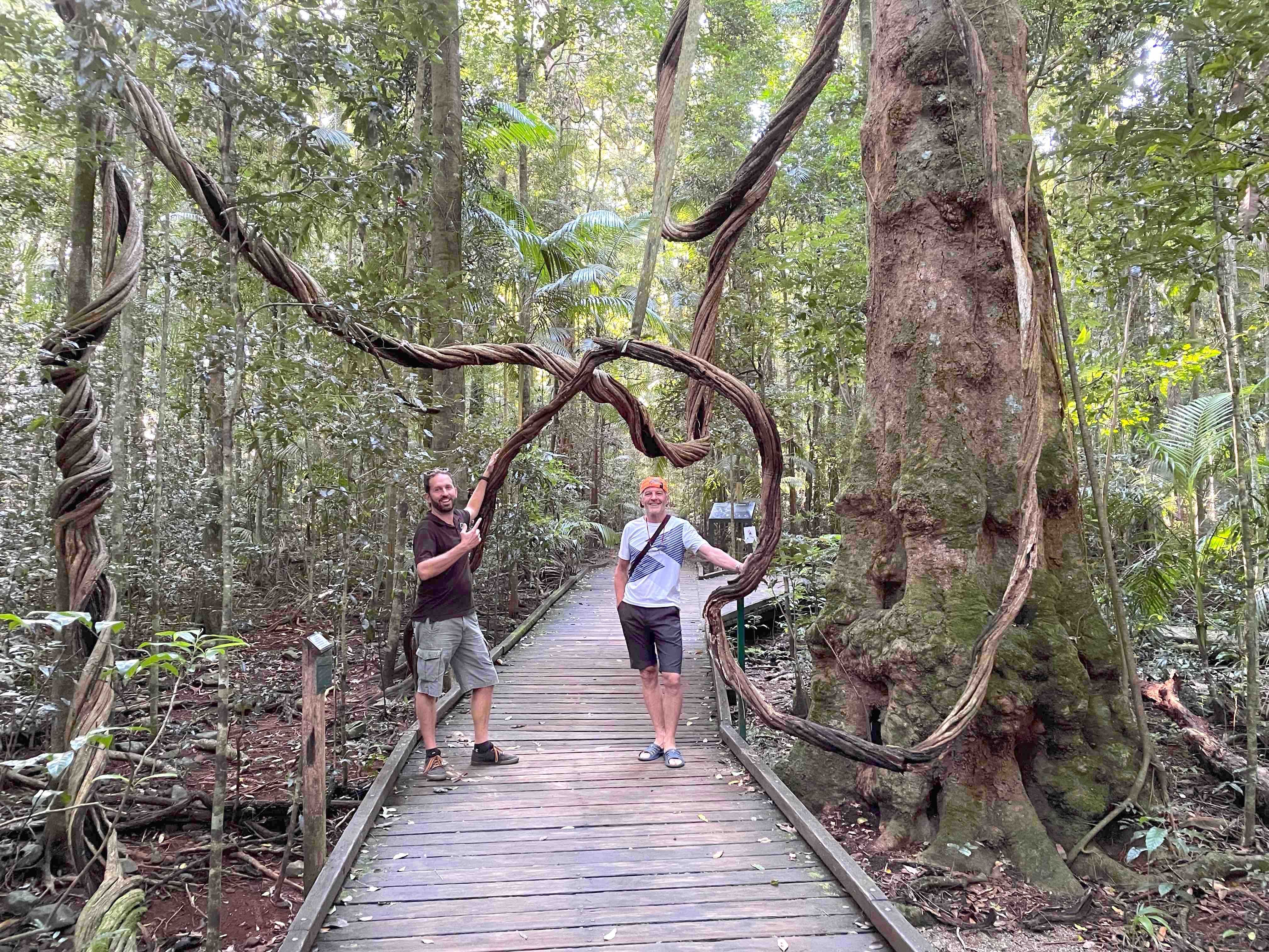 Maleny and Montville Tour from Noosa with Artisan Village and Wine Tasting - Luxury Private Tour