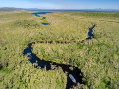 Noosa Everglades and Hinterland Villages Tour