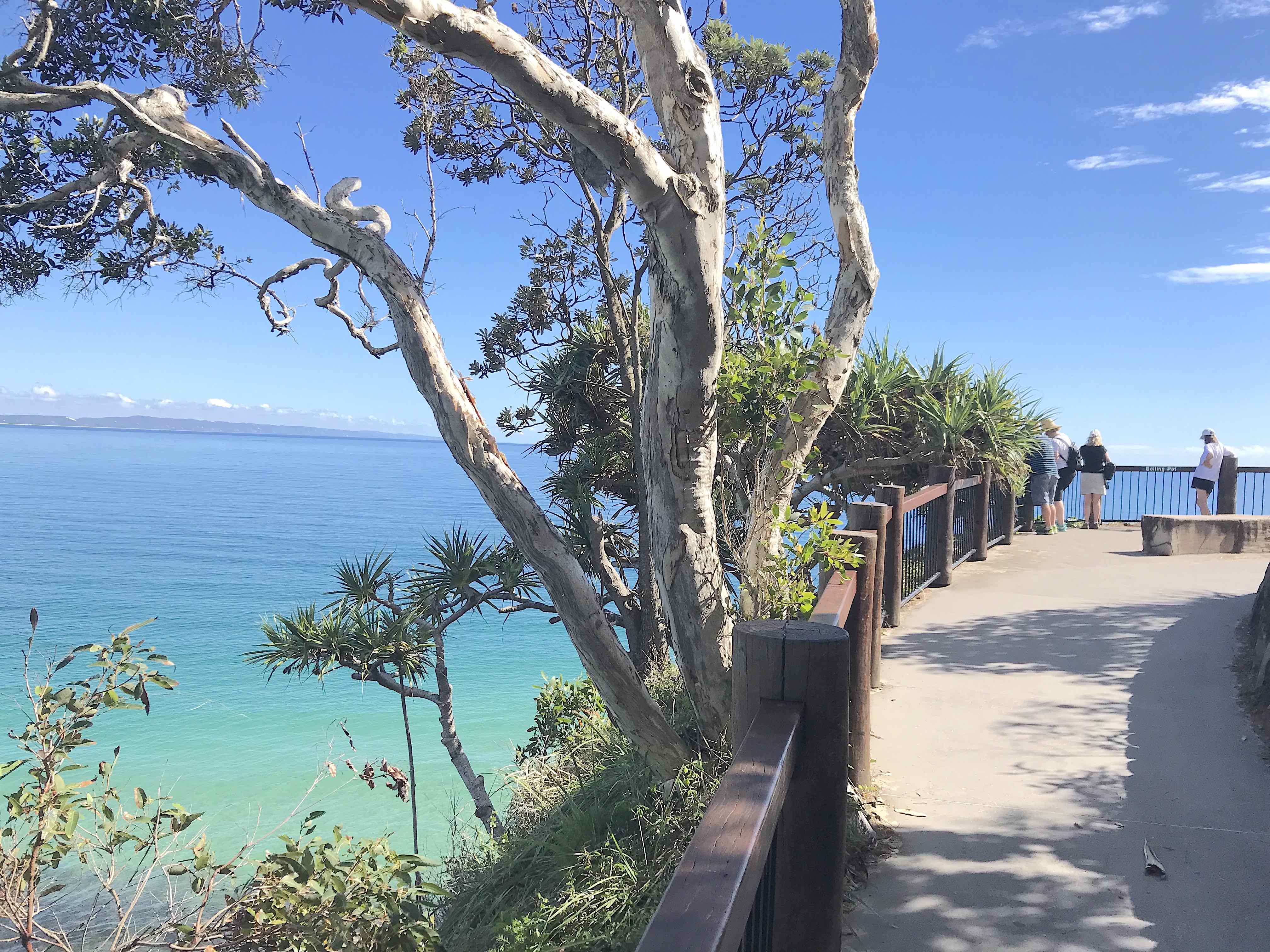 Noosa National Parks Private Tour