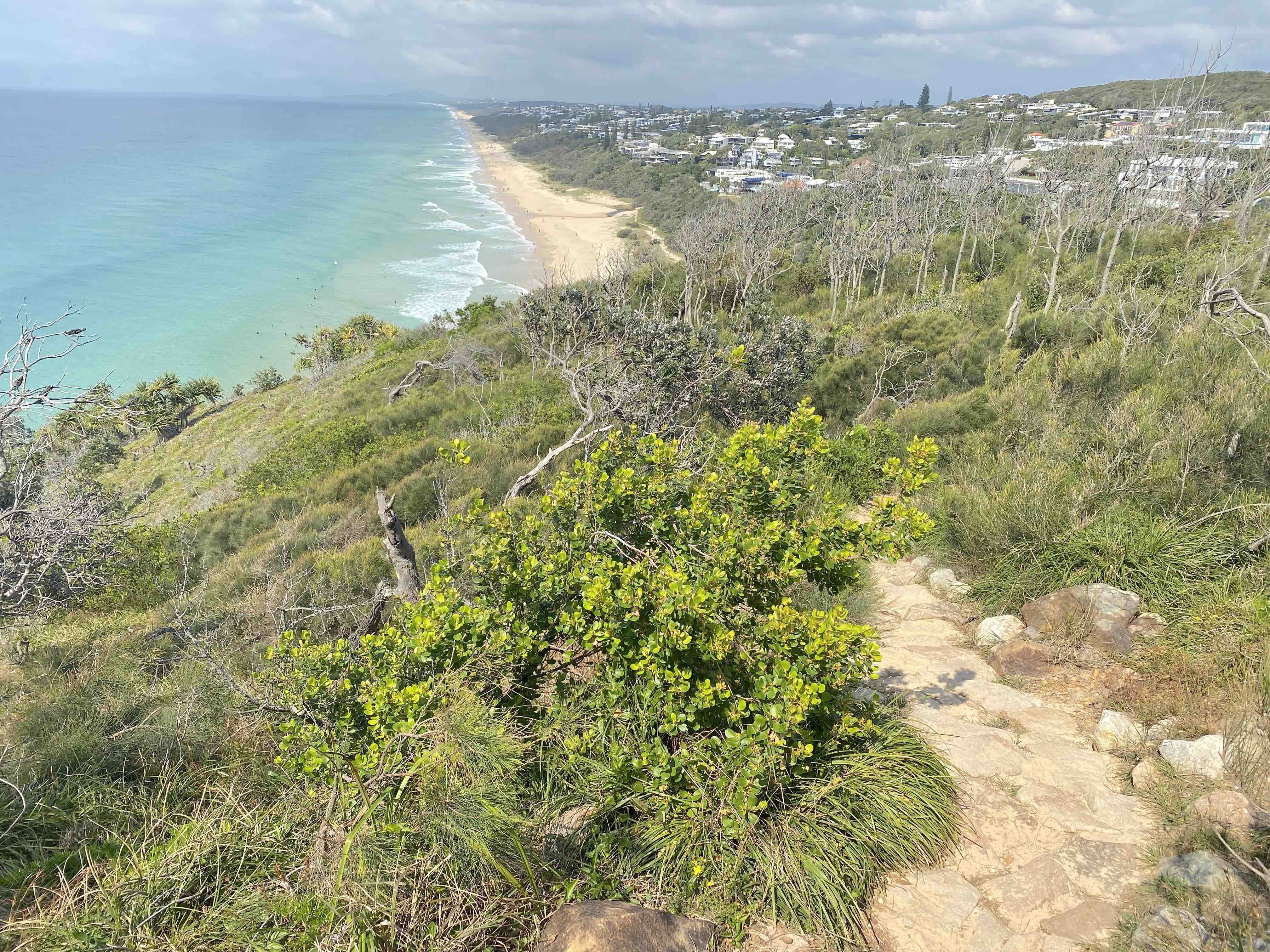 Noosa National Parks Private Tour