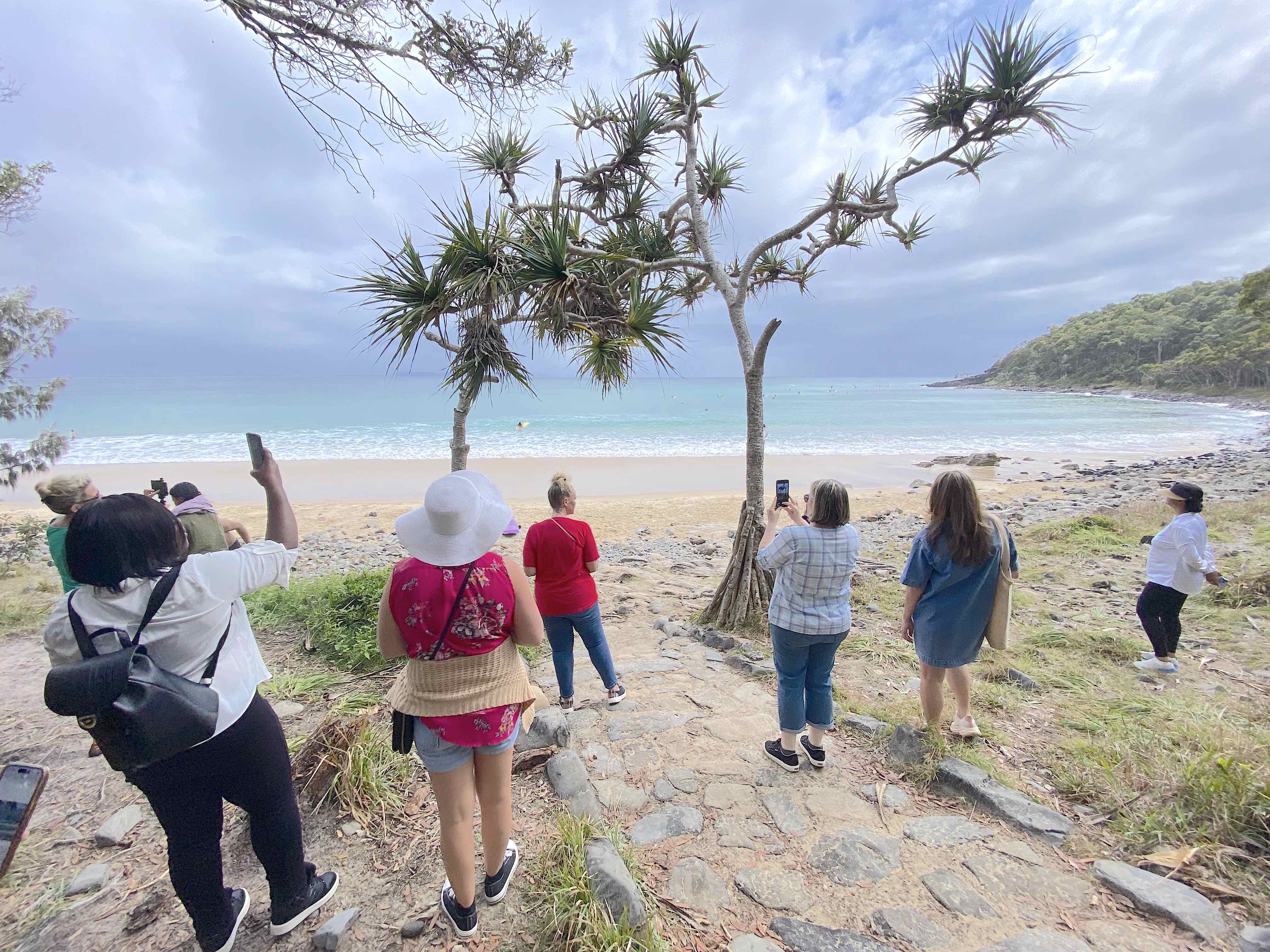Noosa National Parks Private Tour