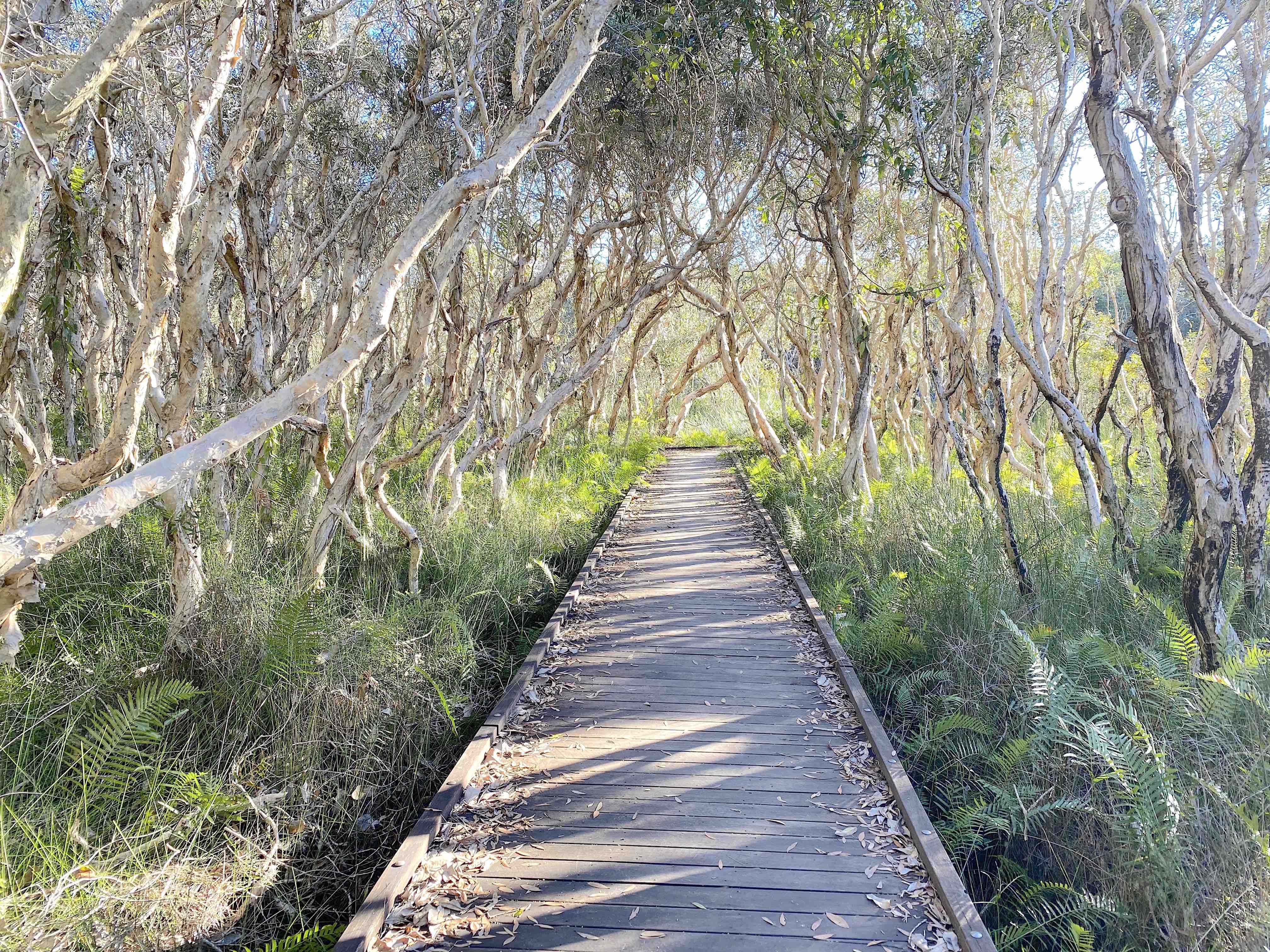 Noosa National Parks Private Tour