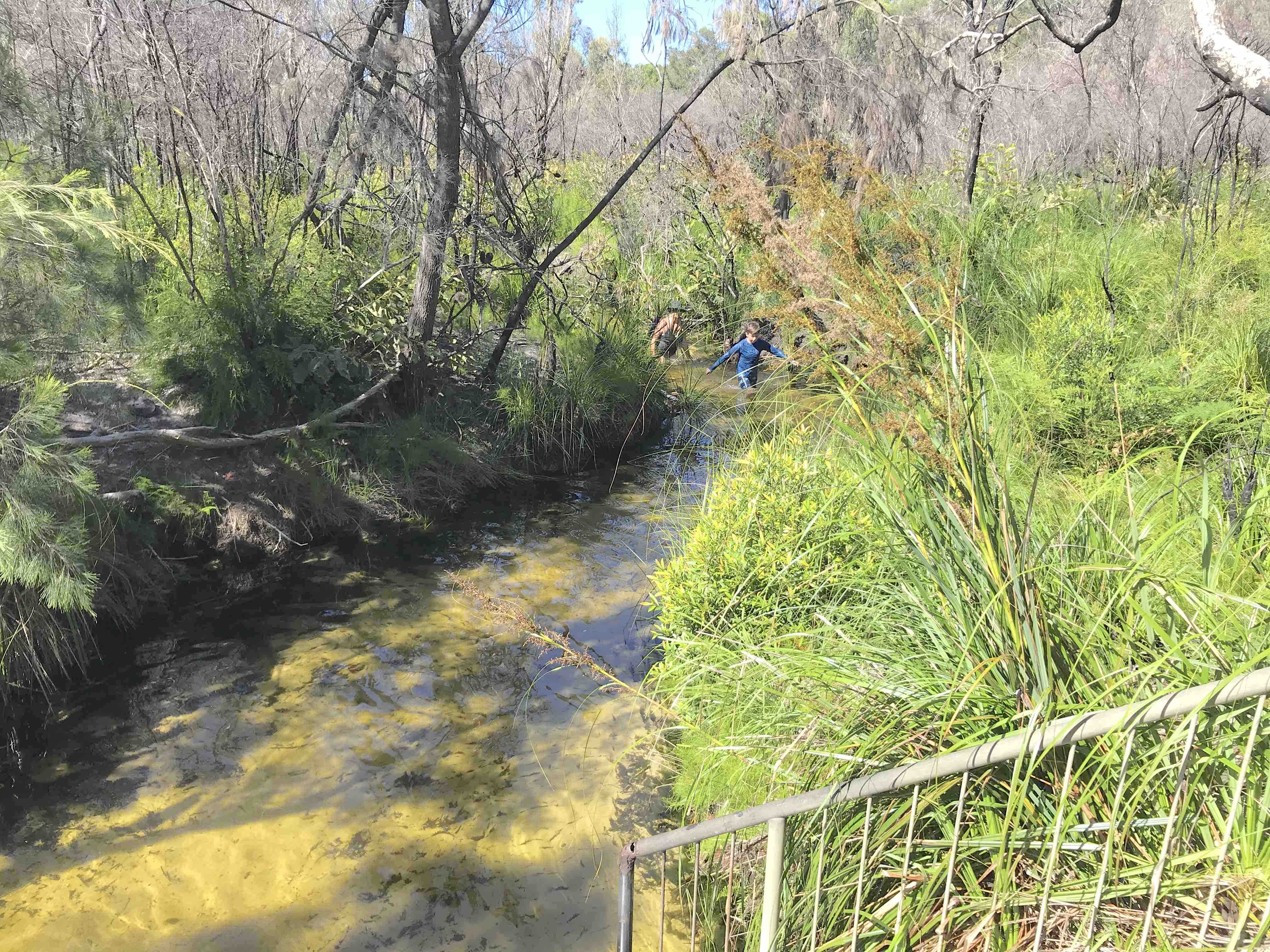 Rainbow Beach Private Tour