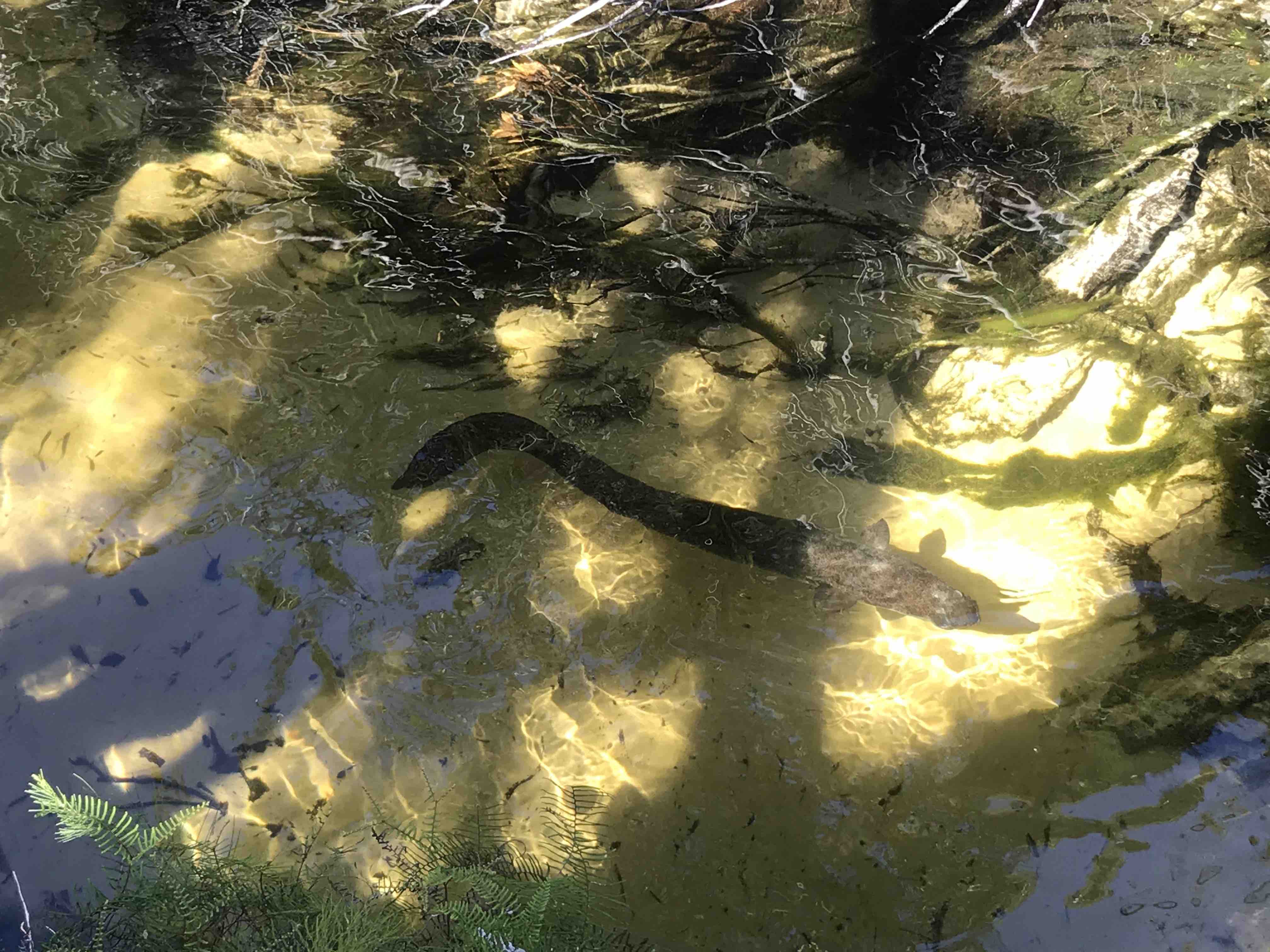 Rainbow Beach Full-Day Private Tour with Oceanside Lunch and views of K'Gari