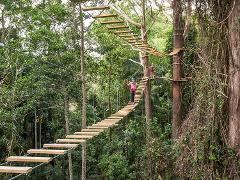 TreeTop Challenge Private Transfer from Noosa and Sunshine Coast regions