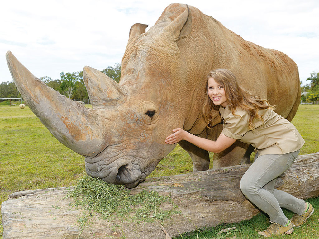 AUSTRALIA ZOO Transfer with Entry Ticket