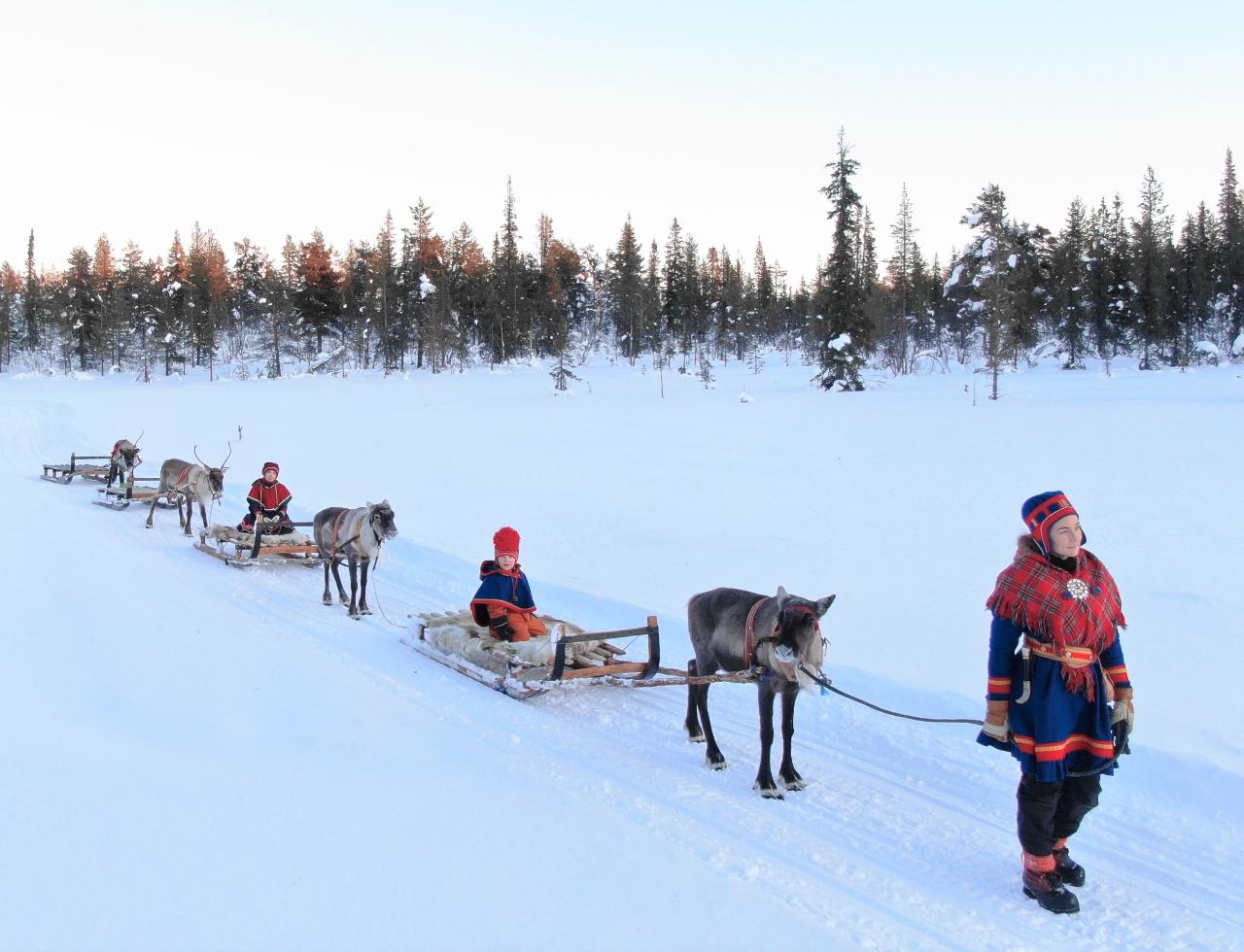 AURORA HUNTING TRIP WITH REINDEER SLEDDING