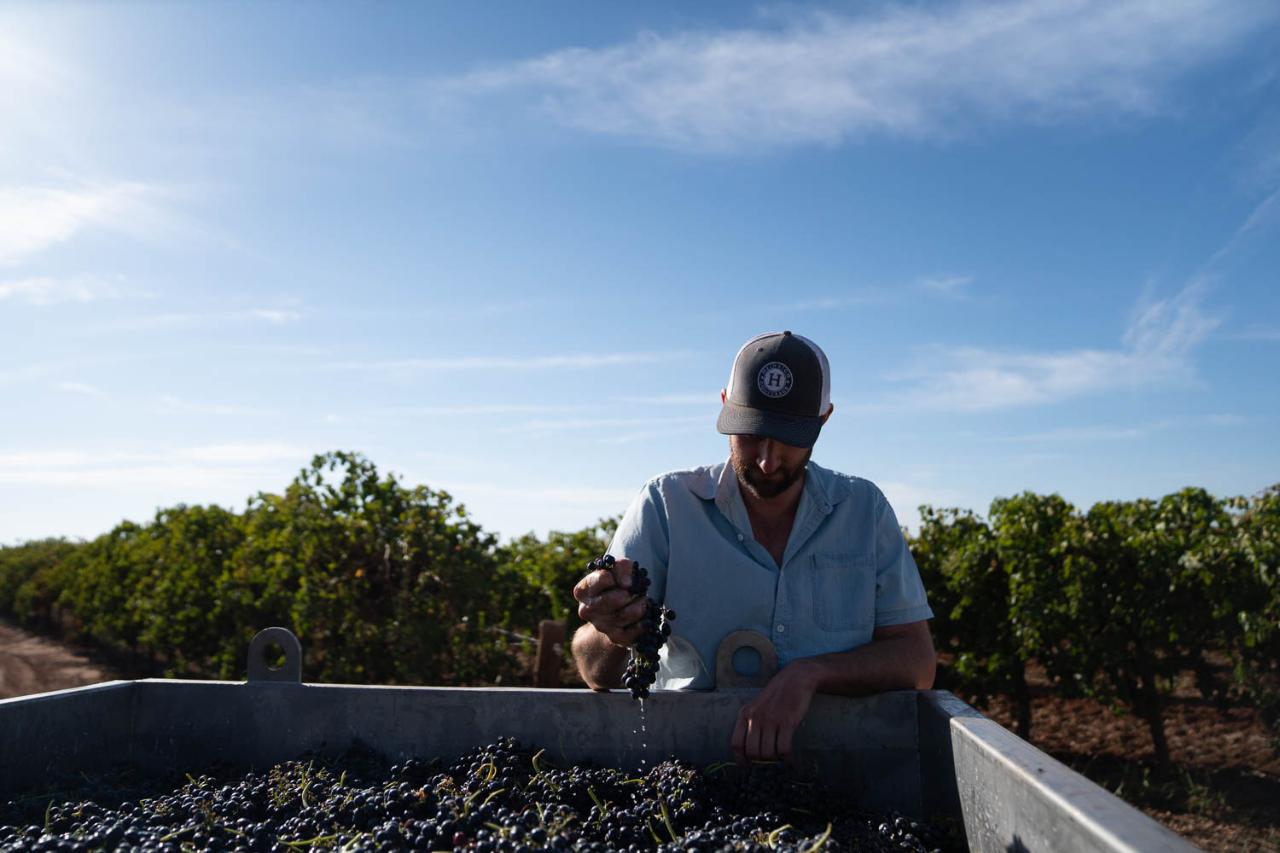 Meet Winemaker Sam