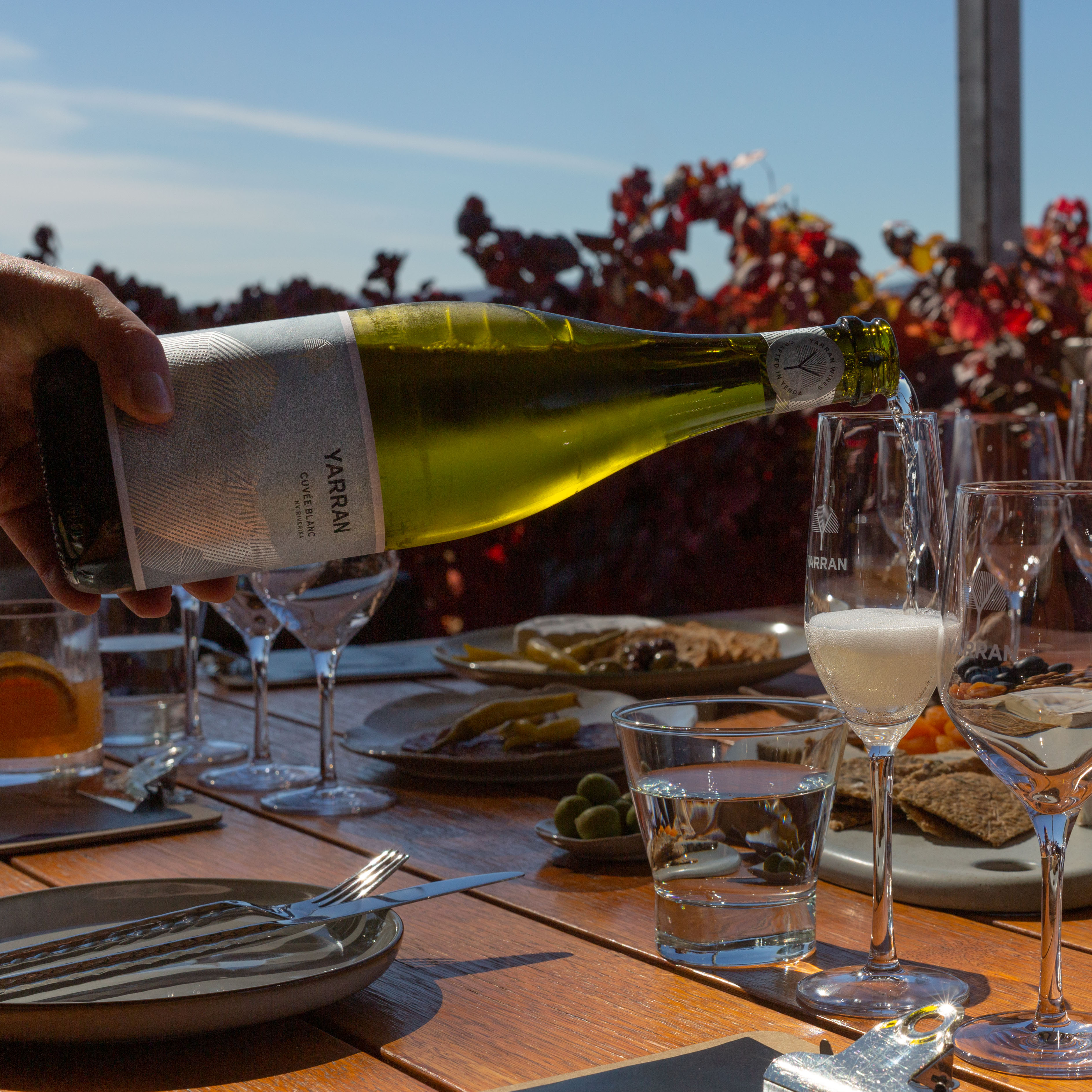 Transport + Cheers Yarran Wines Reservations