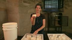Cheesemaking Masterclass with Kristen Allan Bundle (Day I & II)