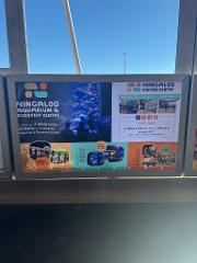 Learmonth Airport Back-lit poster - annual FY26/27