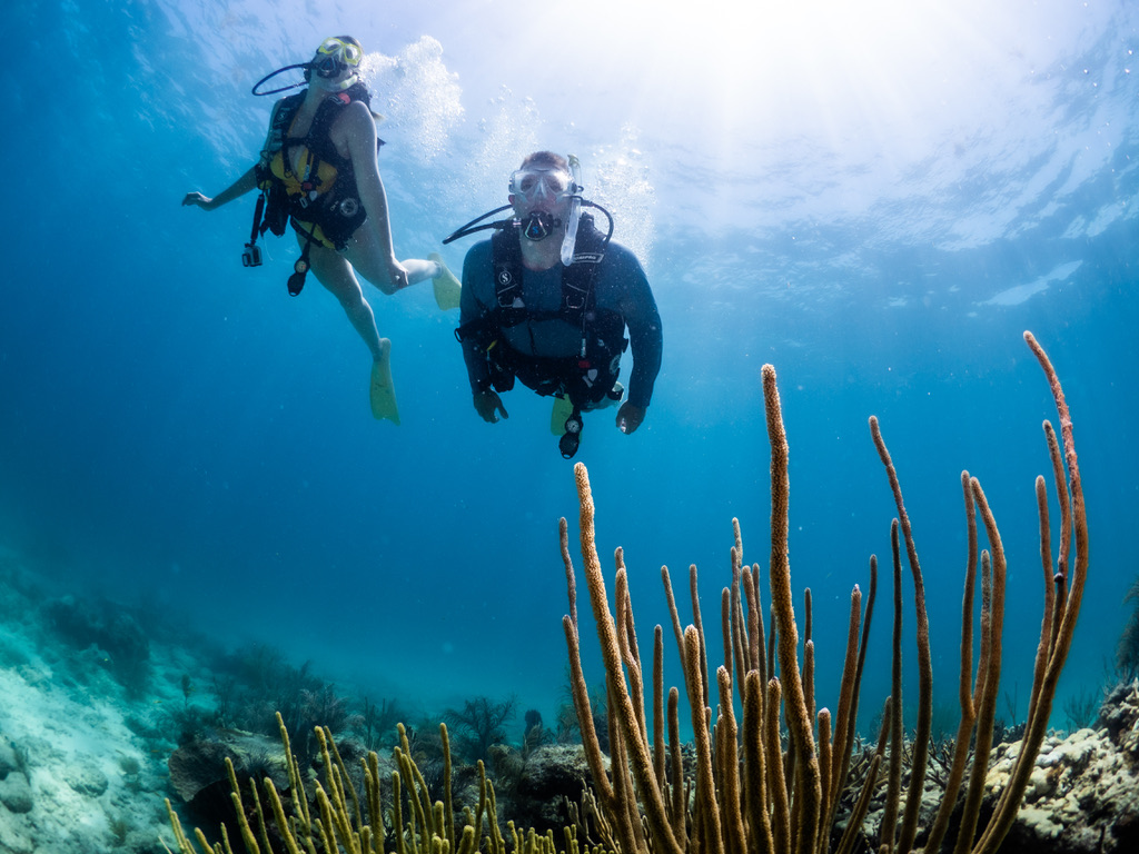 Looe Key Reef Trip - Captain Hook's Reservations