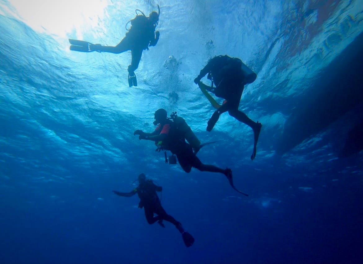 Master Scuba Course and Certification @ Key West