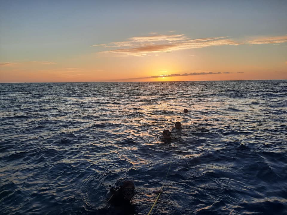 Key West Night Dive Trip