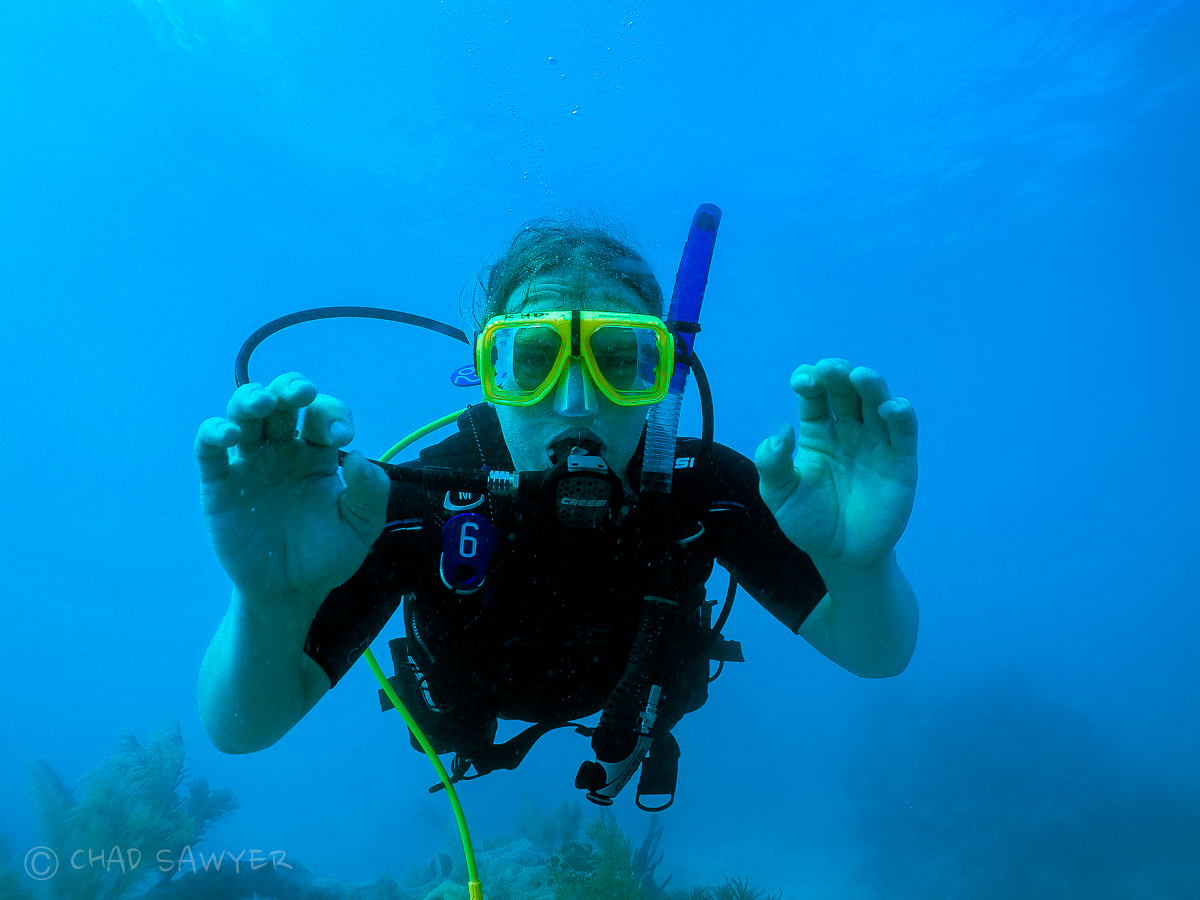 Discover Scuba Experience - Dive In a Day! @ Marathon - Captain Hook's  Reservations