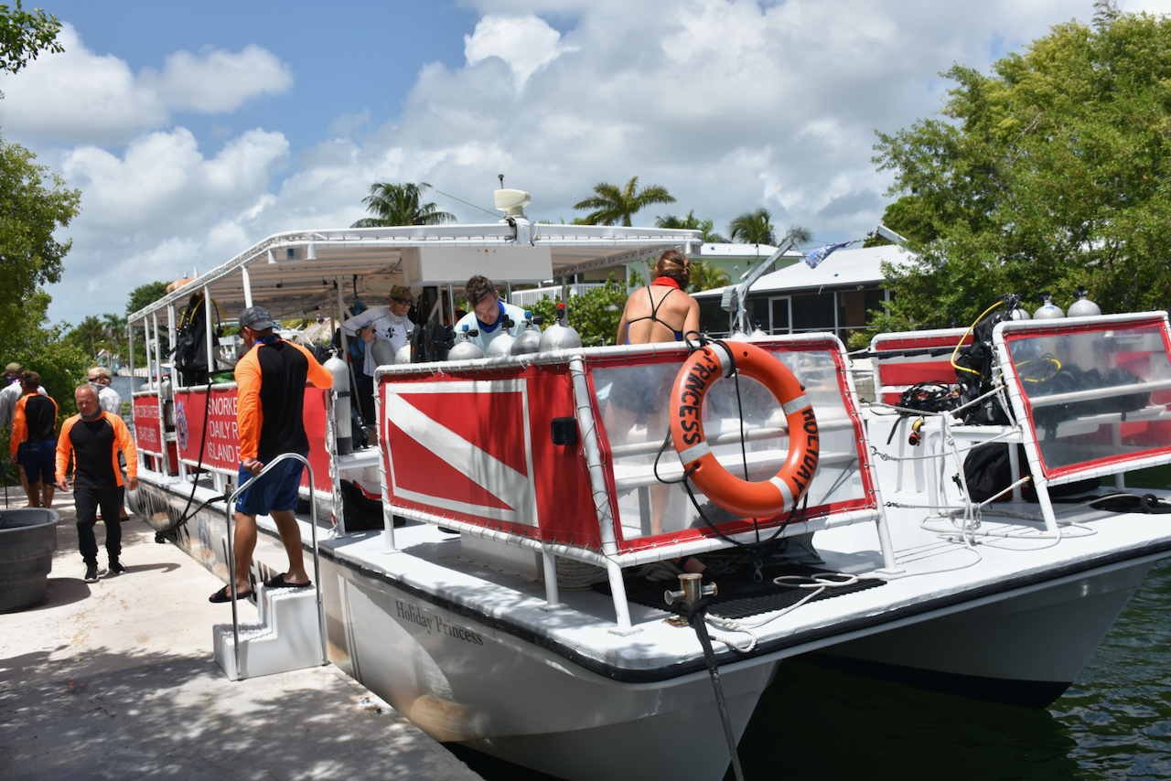 NAUI Advanced Level Scuba Certification (NESVA011) Captain Hook's