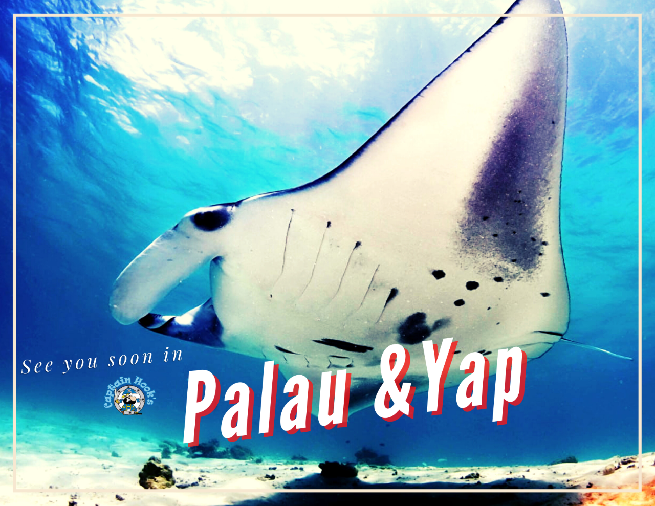 Capt. Hook's Palau and Yap Adventure