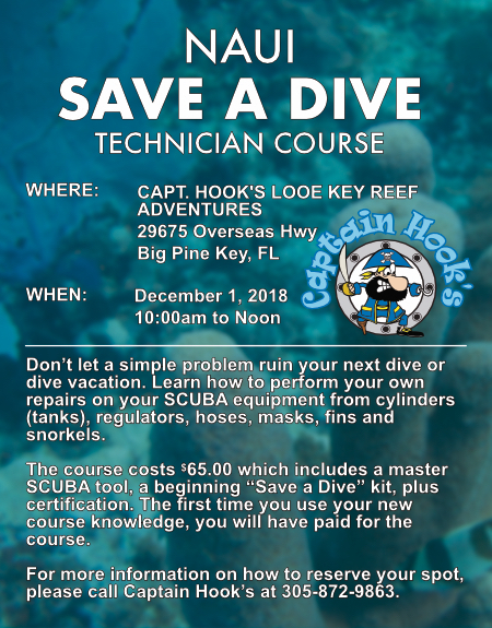 NAUI "Save A Dive" Technician Course