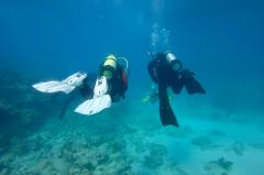 Discover Scuba Experience - Dive In a Day! @ Dive Key West