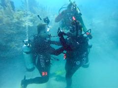 Master Scuba Course and Certification @ Big Pine Key