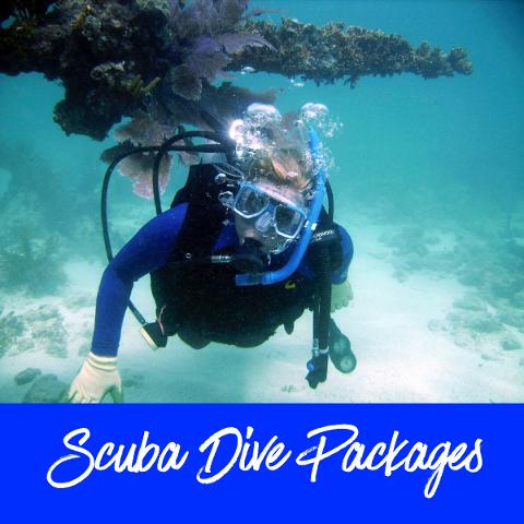 Dive Packages