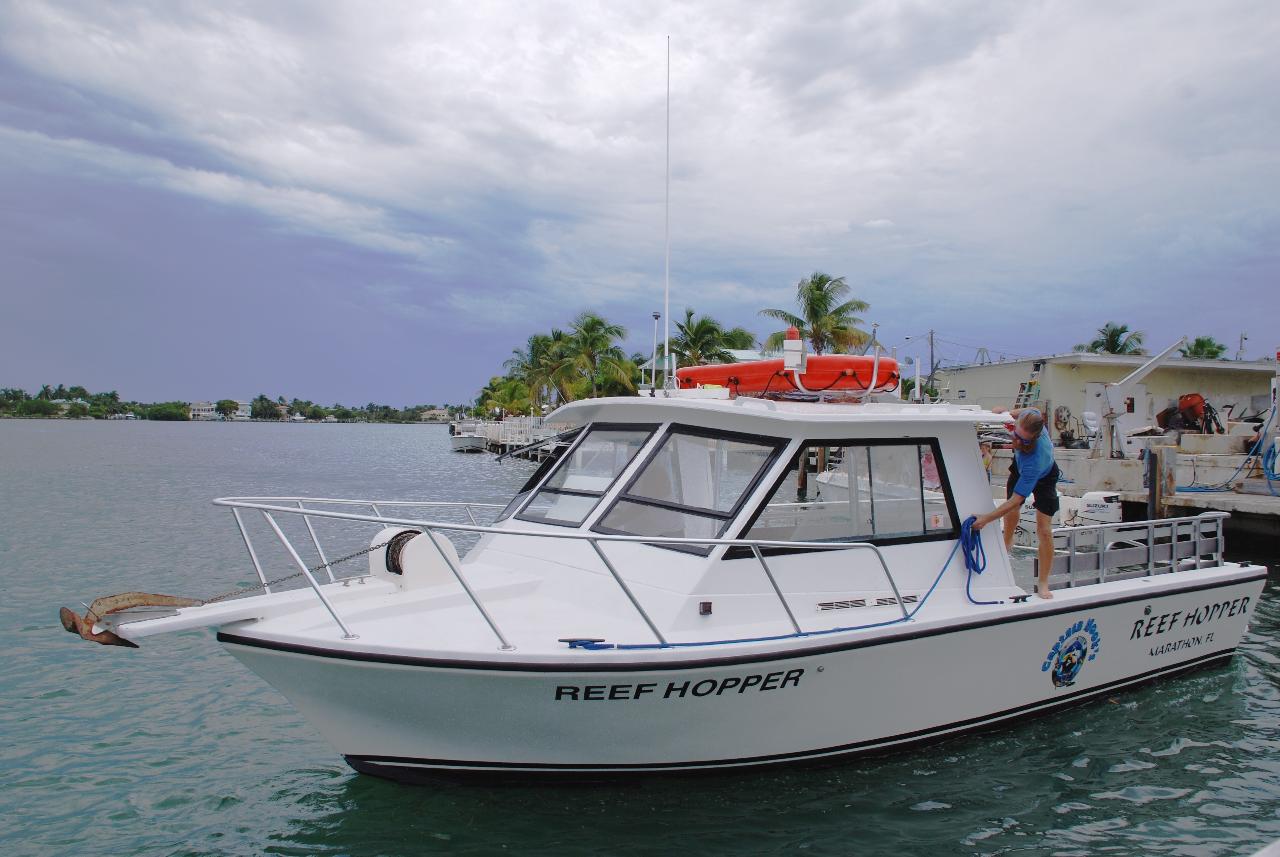 Reef Hopper 31' Dive/Snorkel Boat • Half Day Private Charter Captain