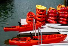 Kayak Rentals @ Tarpon Creek Marina