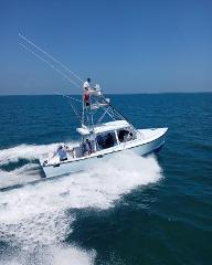 Fishing Charter - Captain Alex Bell