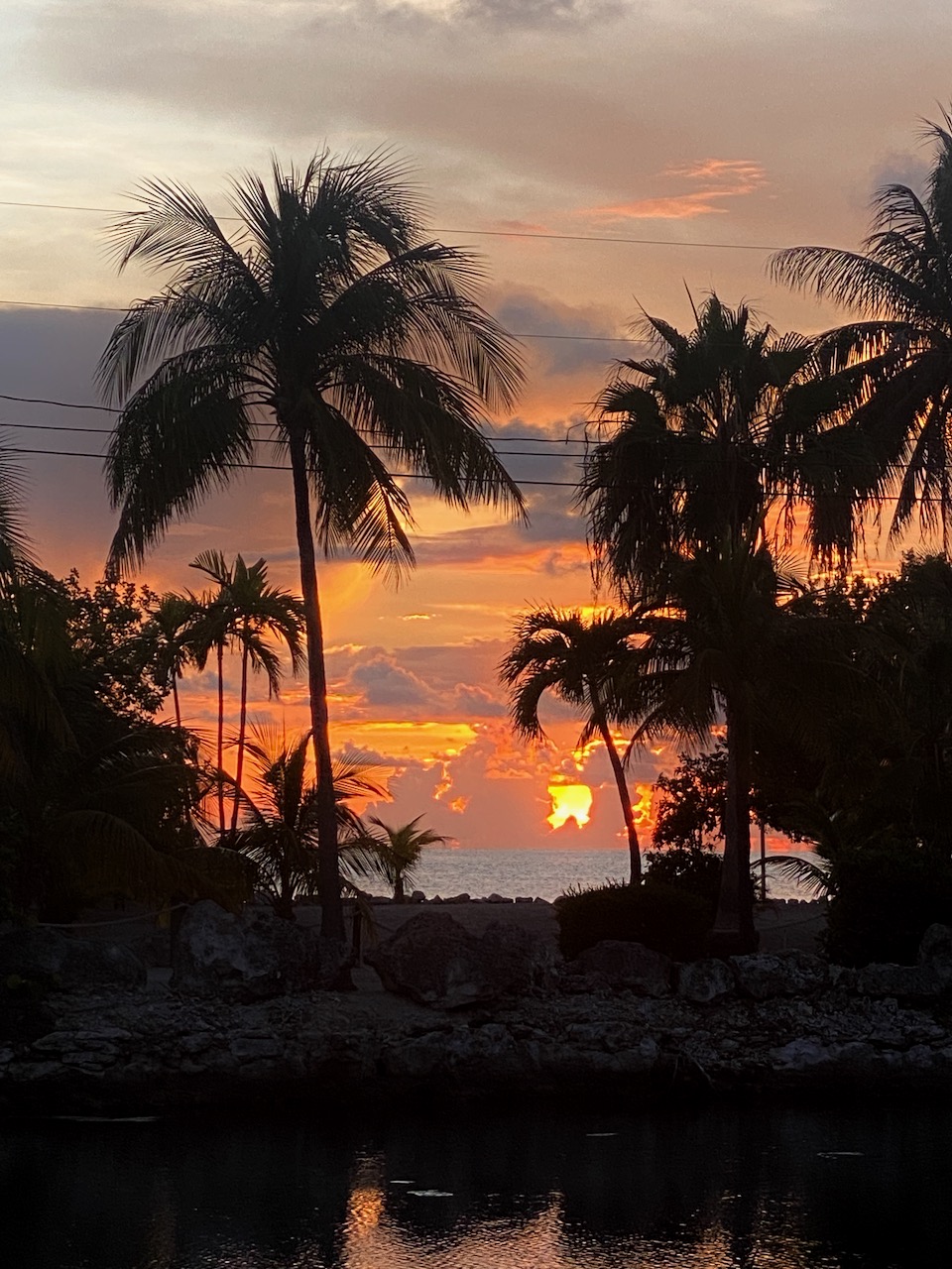 Snorkeling Marathon FL Marathon FL Snorkeling Tours Captain Hook's