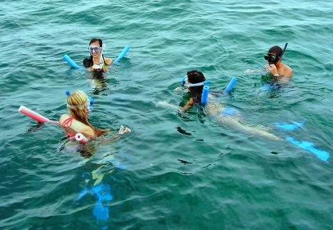 best snorkeling tours marathon fl