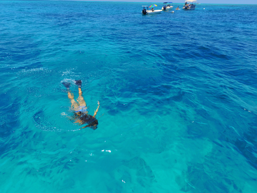 Looe Key Snorkel Trip Captain Hook's Reservations