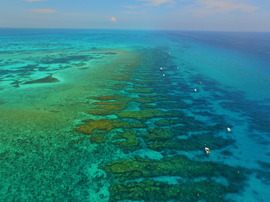 SeaSpeak Guided Snorkel Tour - Explore Looe Key with Expert Guides