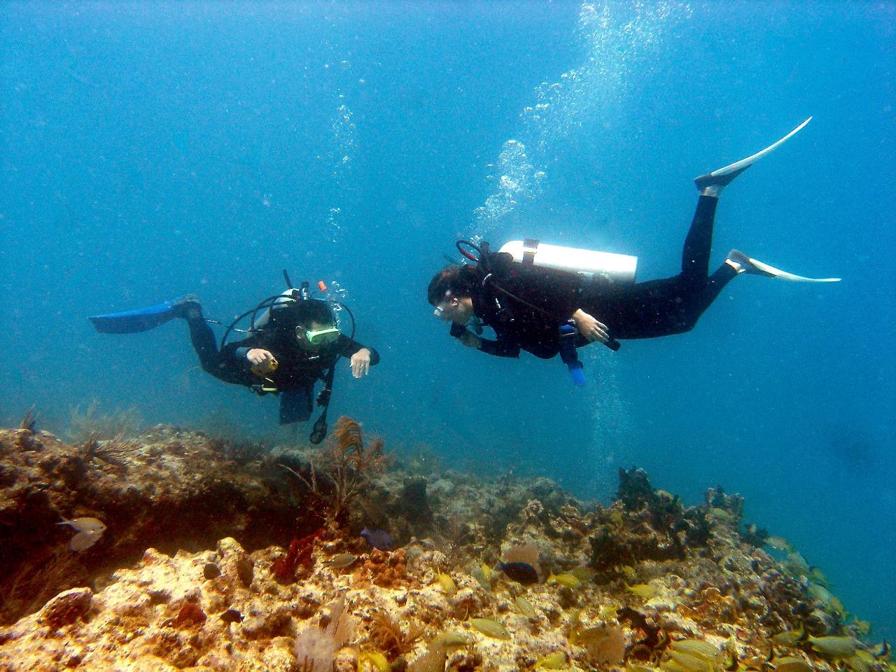 Master Scuba Course and Certification @ Marathon