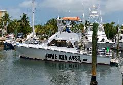 Dive Key West Private Boat Charter - Half Day