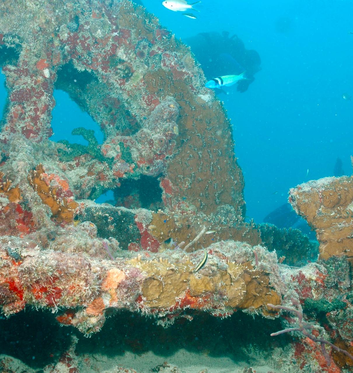 Key West Cayman Salvager Wreck Dive Trip