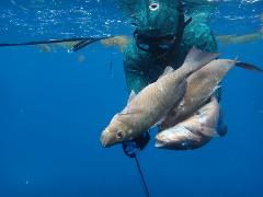 Spearfishing