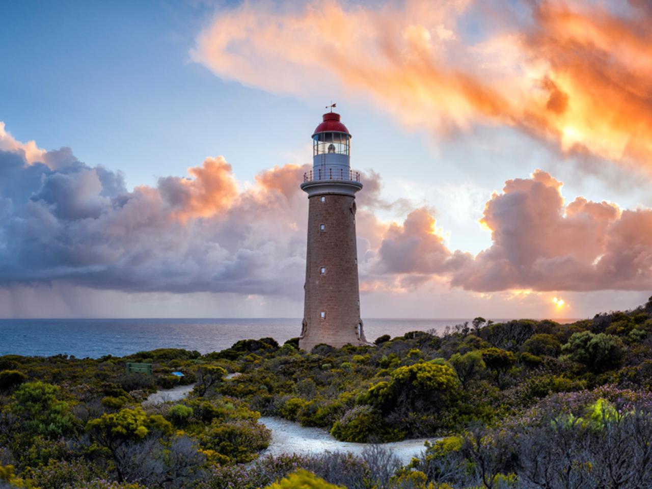 Kangaroo Island Lighthouse, Kangaroos and Wine Tasting  - Guided Coach Tour