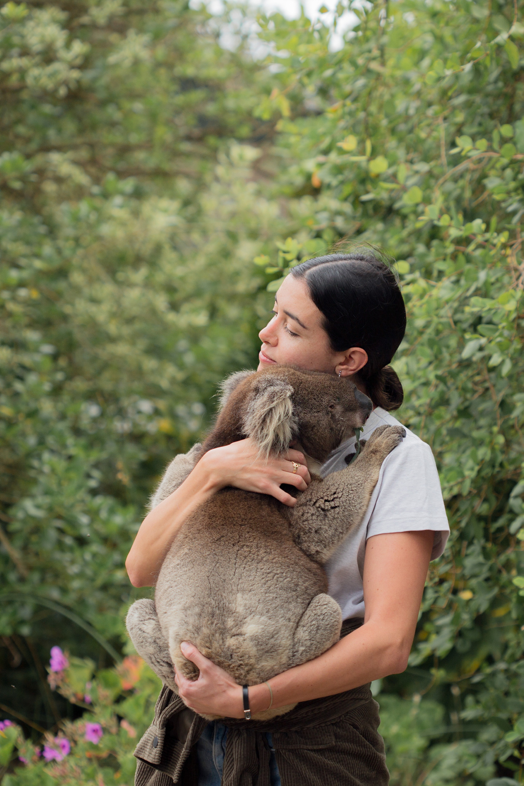 Kangaroo Island Wildlife Park & Beach Experience - Guided Coach Tour