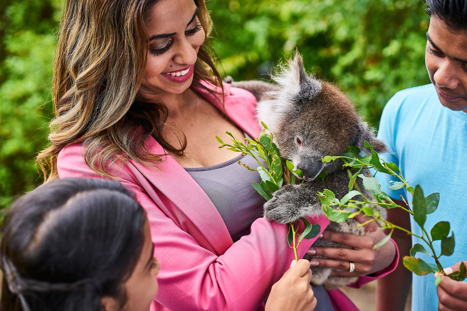 Private Coach - Kangaroo Island Wildlife Discovery 24- or 57-Seater