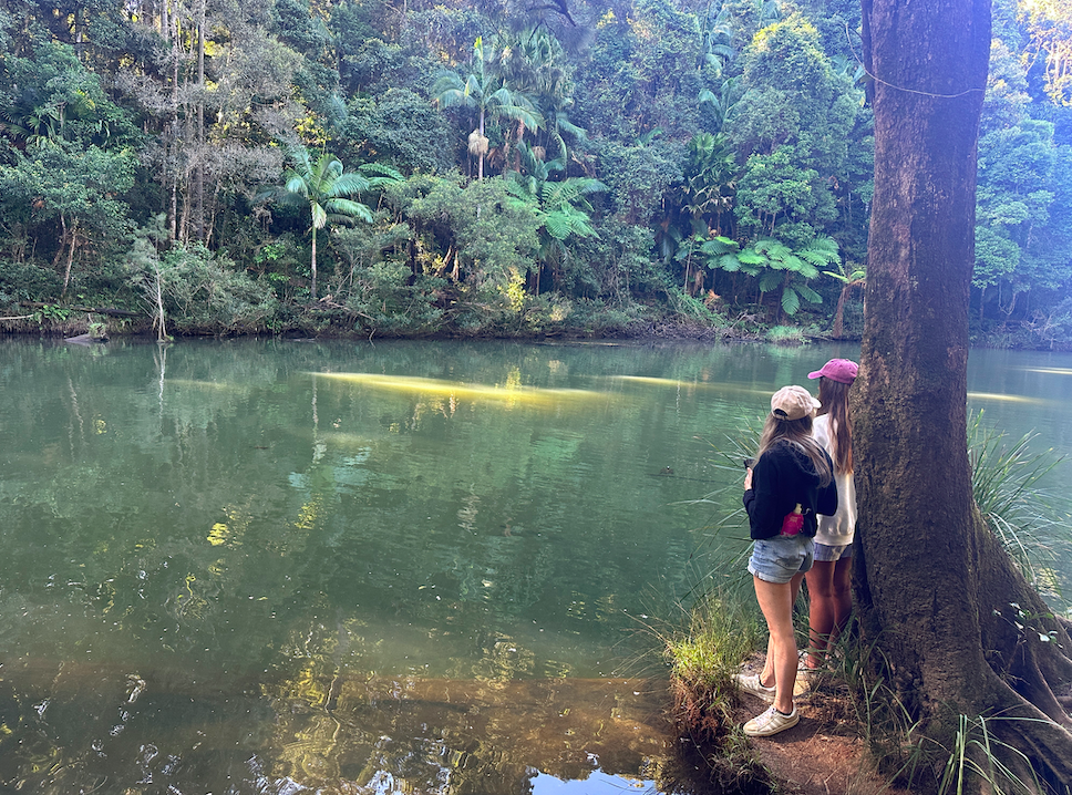 Platypus Paradise Tour