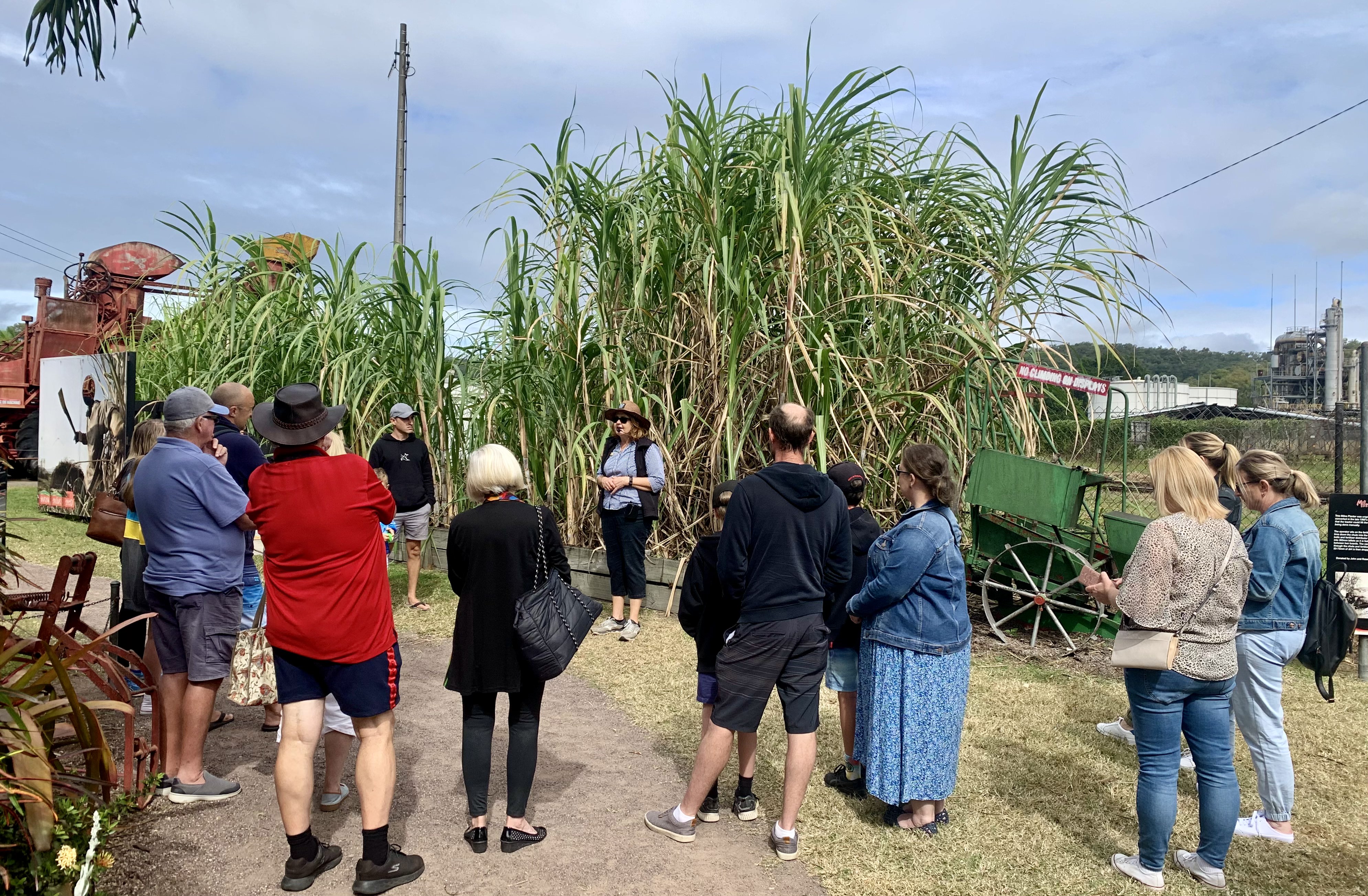 Sugar Cane & Tasting Tour