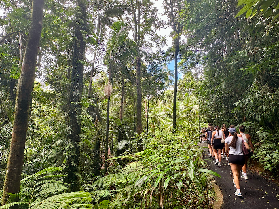 Platypus Paradise Tour