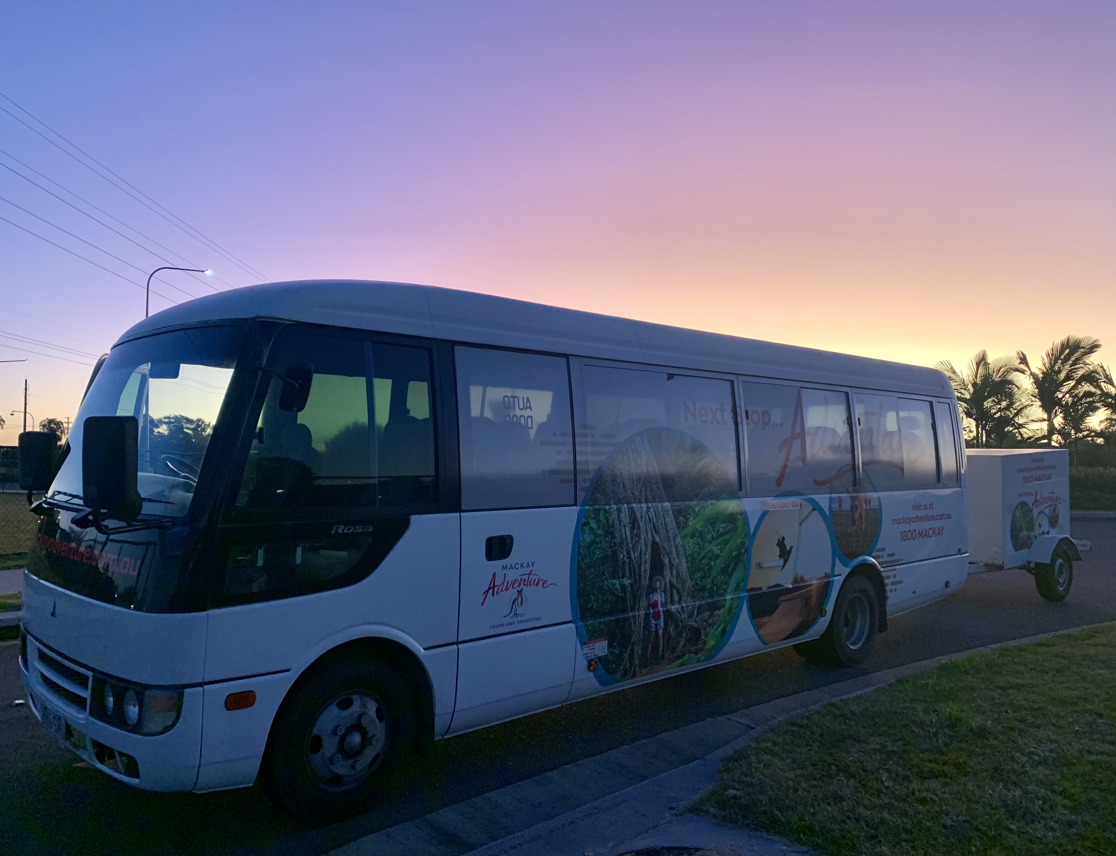 Beach Sunrise with the Wallabies
